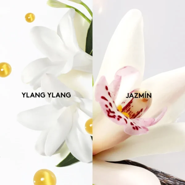 1015430-1600-auto L'Image Perfume de Mujer, 50ml